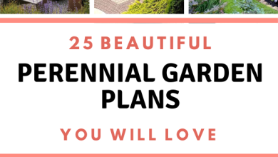 25 Beautiful Perennial Garden Plans For A Dreamy Oasis