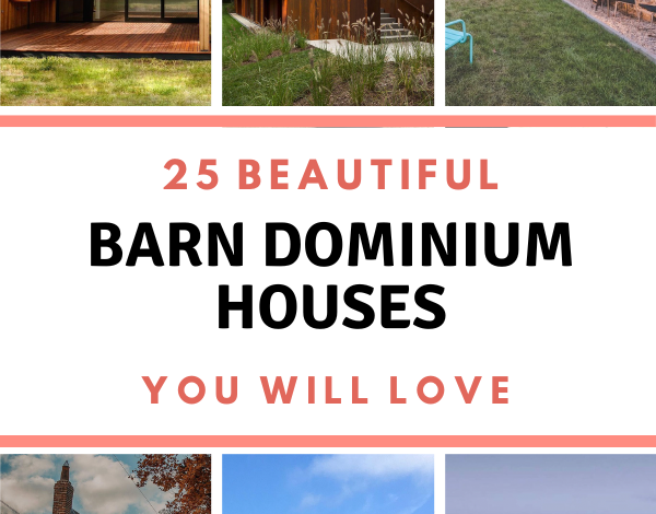 25 Most Unique Barn Dominium houses You Will Love